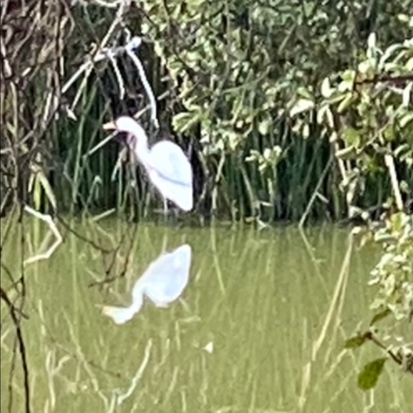 Meet your Posher, Michele - Picture 4 of 8